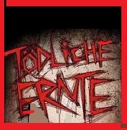 Welthunger und Weltkrieg als Ernte Ihres kinderfeindlichen Femi-Chauvinismus  Frau Schwätzer.jpg