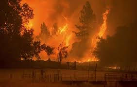 Feuer in Kalifornien.jpg