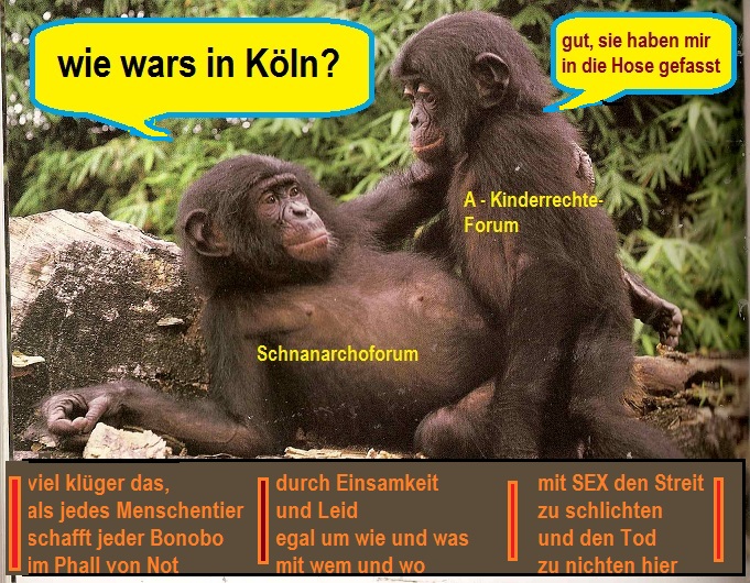 Bonobos2.jpg