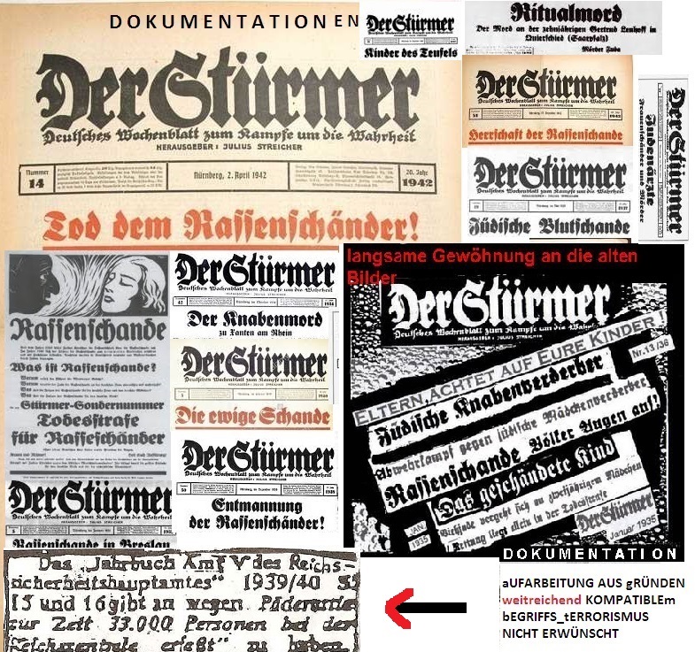 Rassenschändung Kinderschändung NULL Aufarbeitung der sexuell aufgeladenen Streicherkampagnen  entscheidender Wegbereiter des Holocaust ..jpg