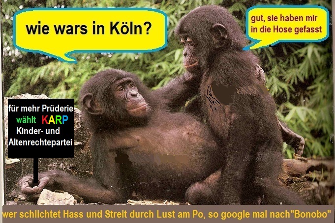 Bonobos4.jpg