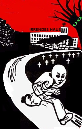 irrendes haus.jpg