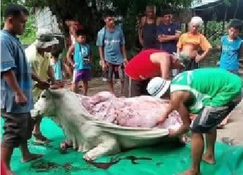 am lebendigen Leibe.jpg