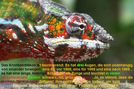 das kronbanditikon.jpg