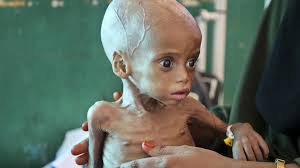 foto aus handelsblatt com.jpg