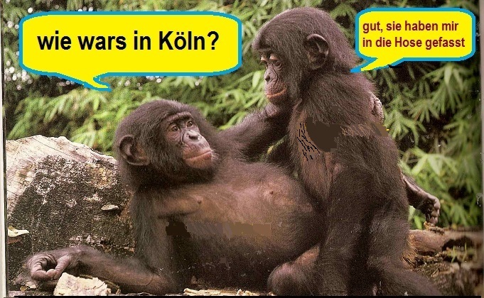Bonoböse.jpg
